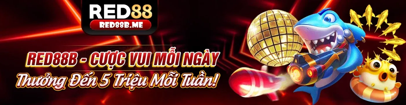 Hình ảnh tổng quan về nền tảng giải trí trực tuyến d79bet